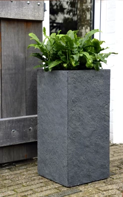 Plantenbak Arizona Cubihi - L33 X B33 X H70cm - Donkergrijs -Warentuin arizona cubihi graphite w33h70 plantenbak 7 4