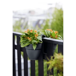 Elho Balkonbak Vibia Campana Twin 21cm - Antraciet -Warentuin balkonbak vibia campana twin 21cm antraciet balkonbak antraciet 5 1