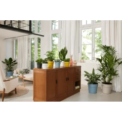 Bloempot Elho B.for Original Rond 25cm - Duifblauw -Warentuin bfor original rond bloempot duifblauw 4 1