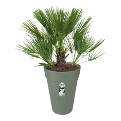 Bloempot Elho Loft Urban Rond Hoog 28cm - Pistache Groen -Warentuin bloempot elho loft urban rond hoog 28cm antraciet bloempot pistache groen 3 1