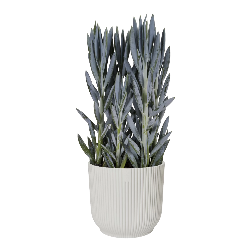 Bloempot Elho Vibes Fold Rond Wielen - D35 X H32cm - Zijdewit - Afbeelding 3