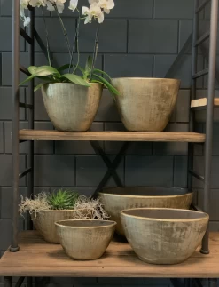 Bloempot Kos Ovaal - L33 X B14 X H27cm - Goud -Warentuin bloempot kos serie ovaal goud bloempot 3 1