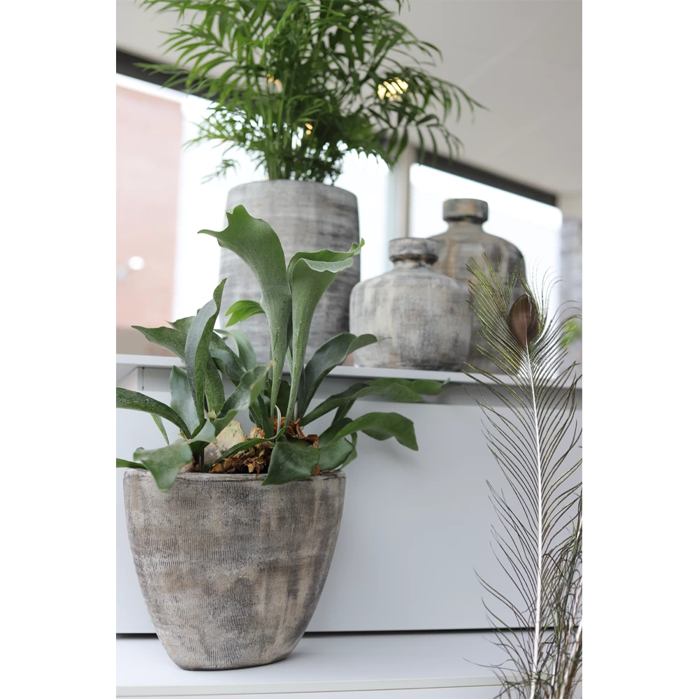 Bloempot Miami Ovaal - L41 X D19 X H22cm - Zwart Cement 2 Bloempot Miami Ovaal - L41 X D19 X H22cm - Zwart Cement - Afbeelding 2