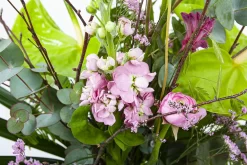 Boeket Anthurium Groot -Warentuin boeket anthurium boeketten 3