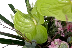 Boeket Anthurium Groot -Warentuin boeket anthurium boeketten 4