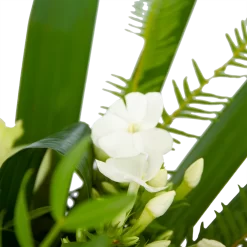 Boeket Liefdevolle Winter Middel -Warentuin boeket liefdevolle winter boeketten 3 2