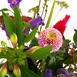 Boeket Paarse Passie Klein 9 Boeket Paarse Passie Klein -Warentuin boeket paarse passie klein boeketten 4