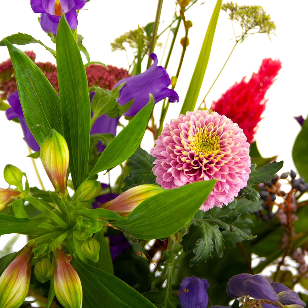 Boeket Paarse Passie Klein 4 Boeket Paarse Passie Klein - Afbeelding 4