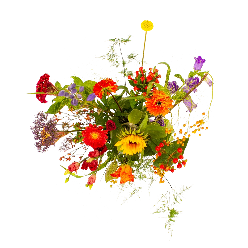 Boeket Plukgeluk Klein 2 Boeket Plukgeluk Klein - Afbeelding 2