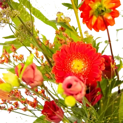 Boeket Plukgeluk Klein 8 Boeket Plukgeluk Klein -Warentuin boeket plukgeluk klein boeketten 3