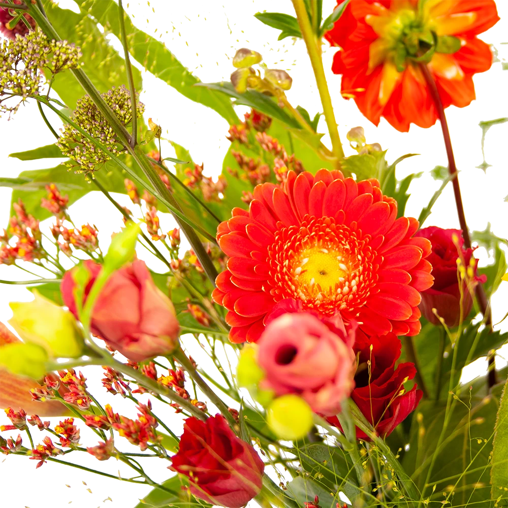 Boeket Plukgeluk Klein 3 Boeket Plukgeluk Klein - Afbeelding 3