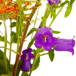 Boeket Plukgeluk Klein 9 Boeket Plukgeluk Klein -Warentuin boeket plukgeluk klein boeketten 4