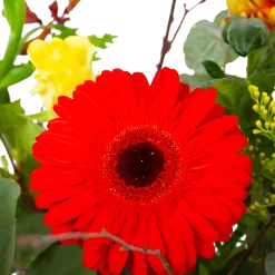 Boeket Speciale Verrassing Middel -Warentuin boeket speciale verrassing boeketten 3