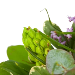 Boeket Vrolijk Seizoen Middel -Warentuin boeket vrolijk seizoen boeketten 3