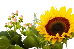 Boeket Zonnestraal Groot -Warentuin boeket zonnestraal boeketten 4 3