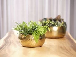 Plantenschaal Kody - D28 X H13cm - Goud -Warentuin bowl kody gold d28 h13 schaal 7 12