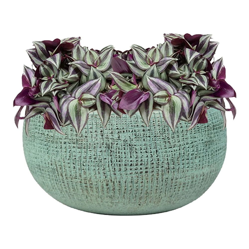 Plantenschaal Ryan - D28 X H13cm - Shiny Blue 2 Plantenschaal Ryan - D28 X H13cm - Shiny Blue - Afbeelding 2