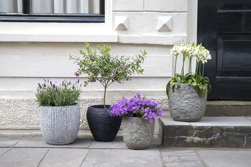 Bloempot Colorado Egg - D39 X H38cm - Grijs - Afbeelding 3