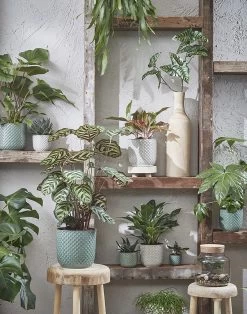 Bloempot Daan - D19 X H17.5cm - Blauw -Warentuin daan pot rond blauw h17 5xd19cm bloempot 7 13