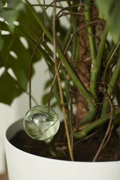 Aqua Care Elho - Transparant 9 Aqua Care Elho - Transparant -Warentuin elho aqua care transparant water geven 7 2