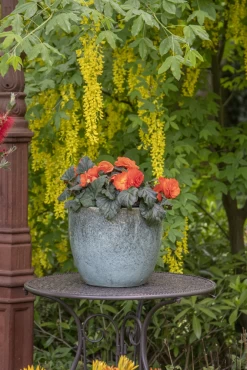 Bloempot Glazed Egg - D30 X H26cm - Groen -Warentuin glazed egg pot moss green d30h26 bloempot groen 7 6