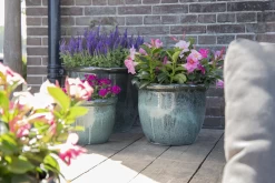 Bloempot Glazed Hp001 - D50 X H39cm - Groen -Warentuin glazed hp001 moss green d50h39 bloempot groen 7 6