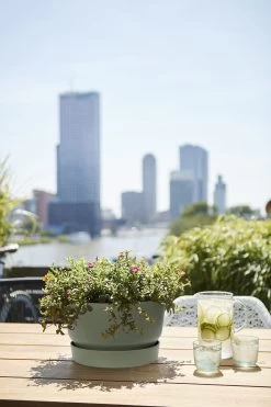 Plantenschaal Elho Greenville 33cm - Bladgroen -Warentuin greenville schaal 33cm bloempot bladgroen 6 13