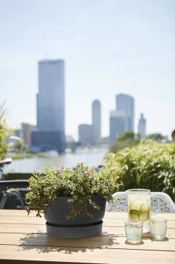 Plantenschaal Elho Greenville 33cm - Living Black -Warentuin greenville schaal 33cm bloempot living black 6 13