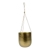 Hangpot Kody - D17 X H20cm - Goud