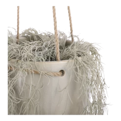 Hangpot Resa - D18,5 X H17cm - Lichtgrijs 7 Hangpot Resa - D18,5 X H17cm - Lichtgrijs -Warentuin hangpot resa d18 5 x h17cm lichtgrijs hangpot 3 1