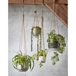 Hangpot Resa - D18,5 X H17cm - Lichtgrijs 9 Hangpot Resa - D18,5 X H17cm - Lichtgrijs -Warentuin hangpot resa d18 5 x h17cm lichtgrijs hangpot 5 1