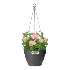 Elho Hangschaal Vibia Campana 26cm - Antraciet -Warentuin hangschaal vibia campana 26cm antraciet hangpot antraciet 3 1