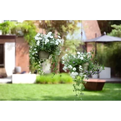 Elho Hangschaal Vibia Campana 26cm - Saliegroen -Warentuin hangschaal vibia campana 26cm saliegroen hangpot saliegroen 4 1