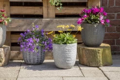 Bloempot Indiana Egg Pebble - D39 X H38cm - Donkergrijs -Warentuin indiana egg pot pebble d39h38 bloempot donkergrijs 7 4