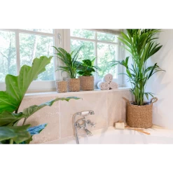 Plantenmand Joris - D42 X H36cm - Naturel -Warentuin plantenmand joris naturel plantenmand 3