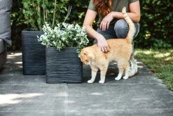 Capi Plantenbak Vierkant Nature Rib NL - L30 X B30 X H30cm - Zwart -Warentuin pot vierkant rib nl 30x30x30 zwart plantenbak 7 8