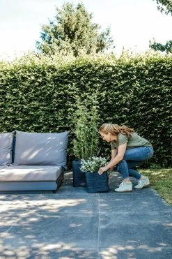 Capi Plantenbak Vierkant Nature Rib NL - L40 X B40 X H40cm - Zwart -Warentuin pot vierkant rib nl 40x40x40 zwart plantenbak 7 8