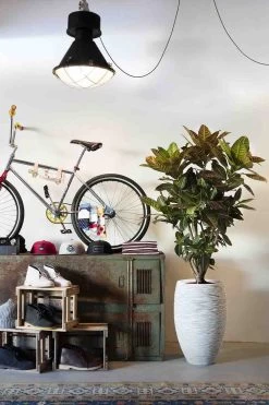 Capi Bloempot Hoog Nature Elegant Deluxe Rib NL - D38 X H58cm - Ivoor -Warentuin vaas elegant deluxe rib nl 40x60 ivoor bloempot 7 8