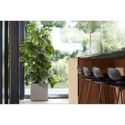 Elho Vivo Matt Finish Vierkant Wielen 40cm - Warm Grijs -Warentuin vivo matt finish vierkant wielen 40cm warm grijs 7 1