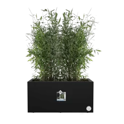 Elho Vivo Next Lang Wielen 60cm - Living Black -Warentuin vivo next lang wielen 60cm living black 5 1