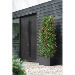 Elho Vivo Next Lang Wielen 60cm - Living Black -Warentuin vivo next lang wielen 60cm living black 6 1