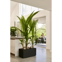 Elho Vivo Next Lang Wielen 60cm - Living Black -Warentuin vivo next lang wielen 60cm living black 7 1